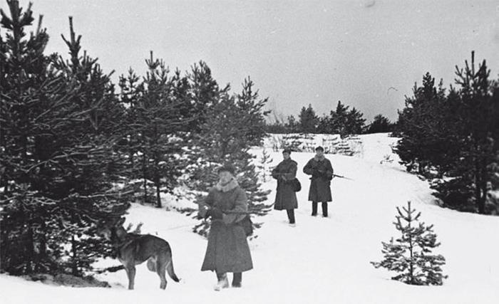 «На той войне незнаменитой…» Рассказы о Советско-финской войне 1939-1940 гг. - i_030.jpg