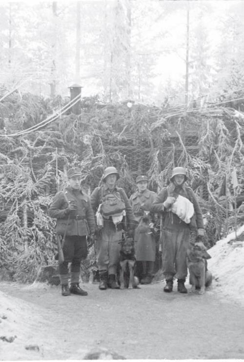 «На той войне незнаменитой…» Рассказы о Советско-финской войне 1939-1940 гг. - i_033.jpg