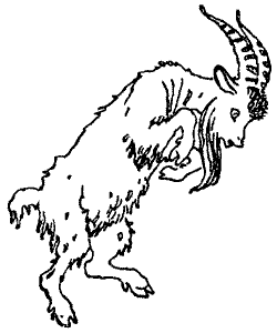 Серебряный герб - i_016.png