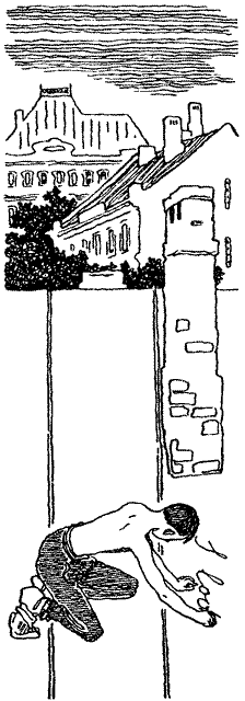 Серебряный герб - i_029.png