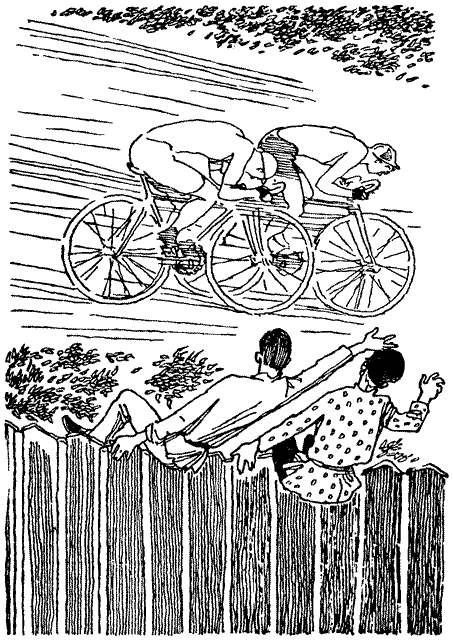 Серебряный герб - i_032.png