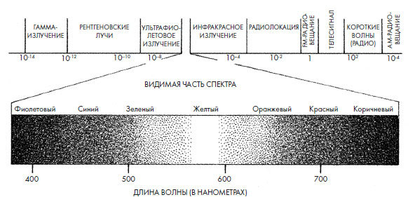 Чувства: Нейробиология сенсорного восприятия - i_001.jpg