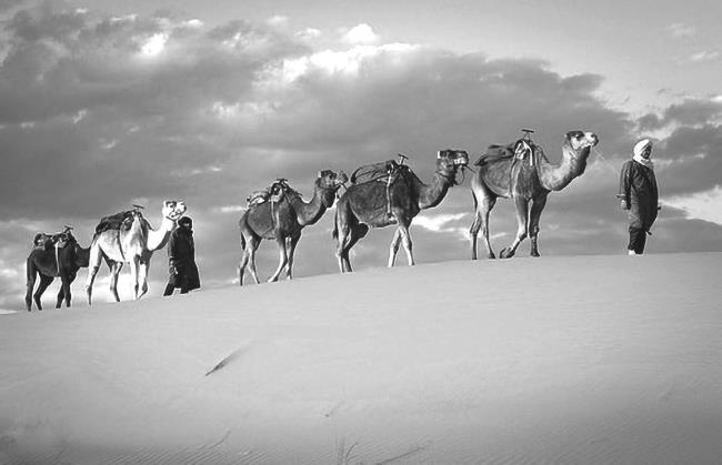 Тунис. Альбом-путеводитель - i_025.jpg