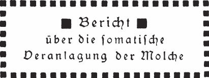 О создании романа 'Война с саламандрами' - _07.jpg