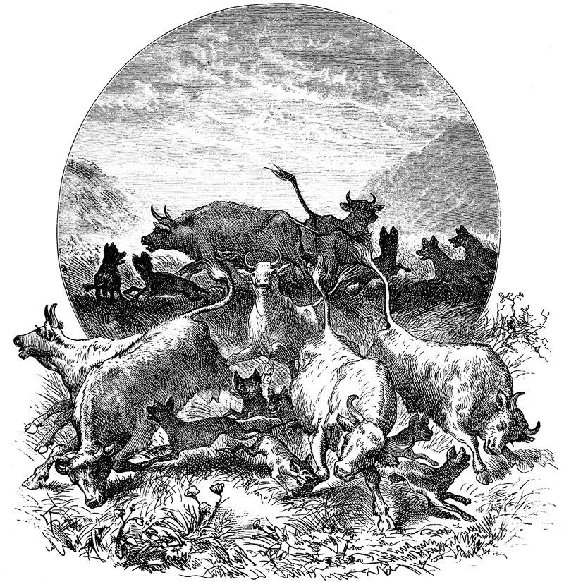 Система экономических противоречий, или Философия нищеты. Том 1 - i_022.jpg