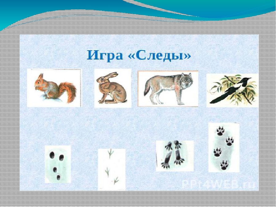 Животные России и питомцы зоопарков в авторских сказках детей - _4.jpg