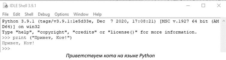 А ты готов опознавать котов? Нейросети и котики – детям - i_008.jpg