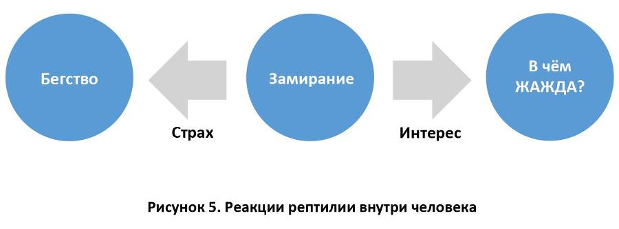 Изнуряющий самоанализ - _4.jpg