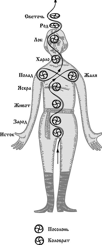 Том 3. Ведь и наш Бог не убог, или Кое-что о казачьем Спасе. Из сказов дедуси Хмыла. Часть II. Соль - _10.jpg