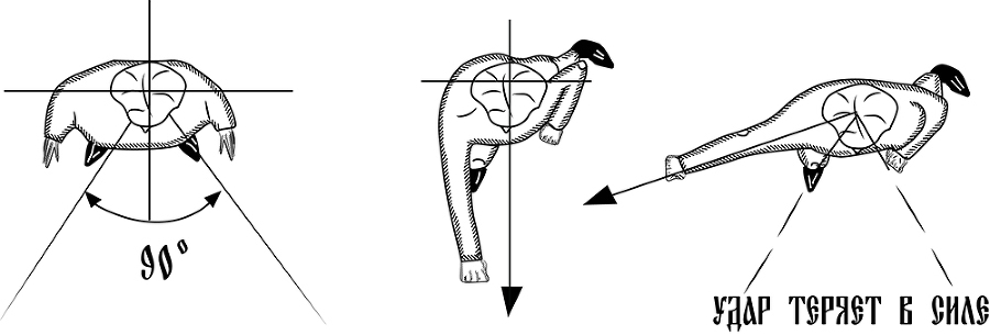 Том 7. Ведь и наш Бог не убог, или Кое-что о казачьем Спасе. Из сказов дедуси Хмыла. Часть IV. Любить нельзя бить, или Беседы о бойцовом Спасе… - _70.jpg