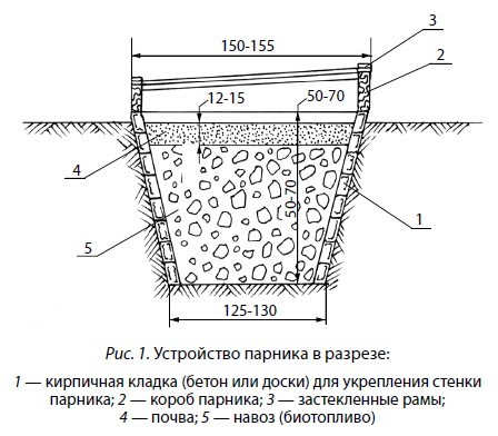 Выращивание рассады. Все самое важное от семян до урожая - i_001.jpg