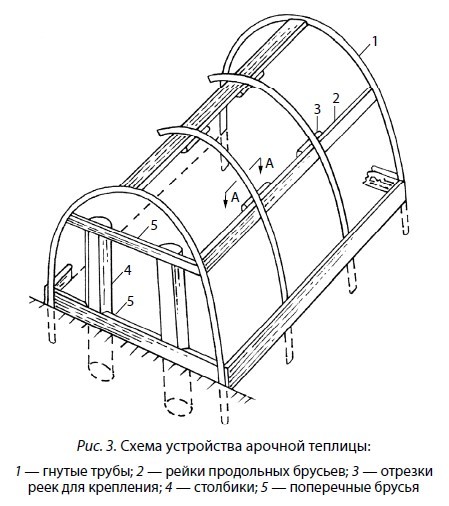 Выращивание рассады. Все самое важное от семян до урожая - i_003.jpg