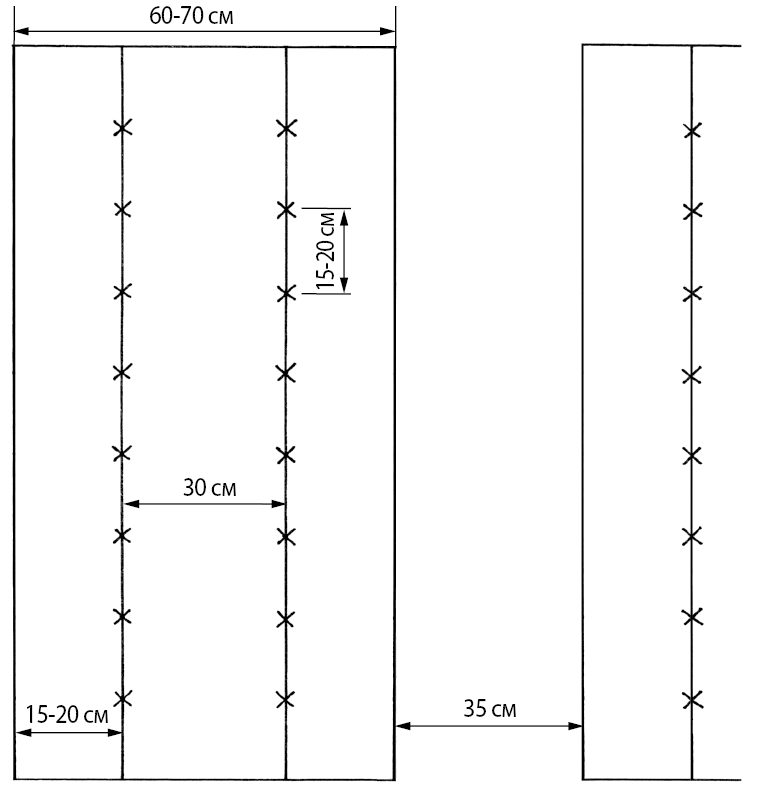 Ягодные культуры. Сорта, посадка, выращивание и уход - i_002.png