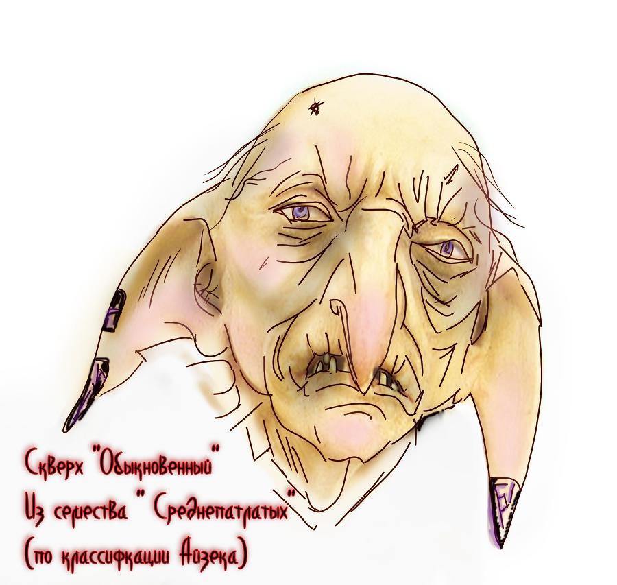 Вуаль. Крыло первое. - _3.jpg