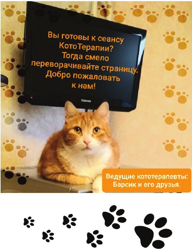 КотоТерапия. Лист назначений: Хорошее настроение - b00000032.jpg