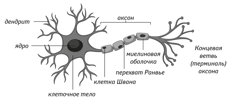 11 когнитивных секретов для ваших текстов и бизнеса - i_005.jpg