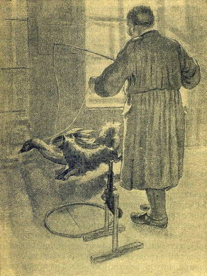 Каштанка - _027.jpg