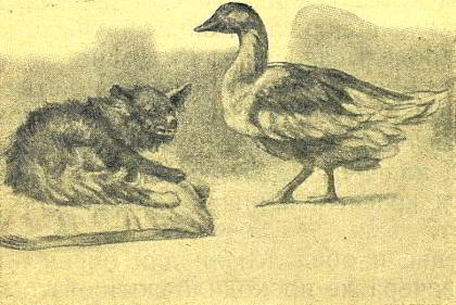 Каштанка - _030.jpg