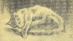 Каштанка - _031.jpg