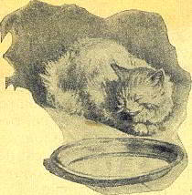 Каштанка - _044.jpg