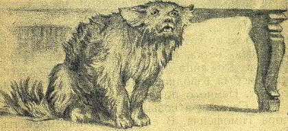 Каштанка - _046.jpg