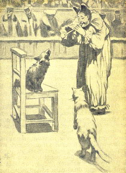 Каштанка - _053.jpg