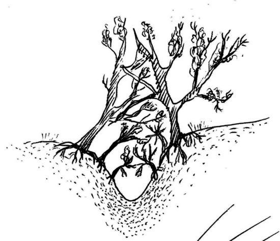 Принцесса Больничного двора 2 - _41.jpg