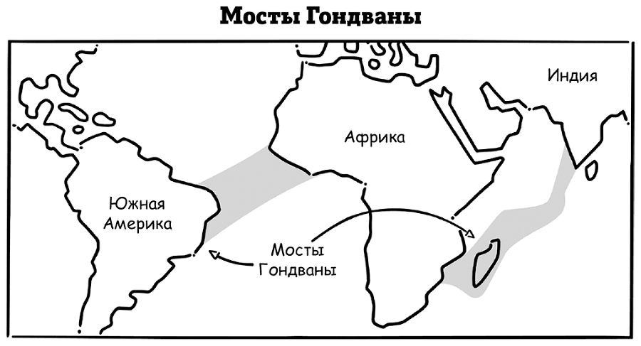 Супермышление. Как обходить ментальные ловушки и принимать эффективные решения - i_015.png