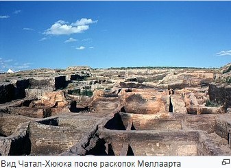 Венера Прайм 5 - i_007.jpg