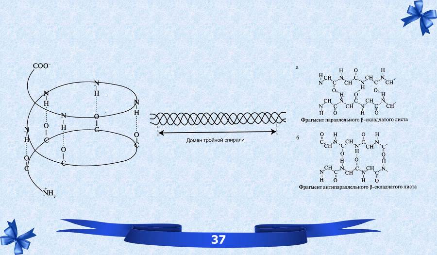 Белки. Часть 1: химия белков - _25.jpg