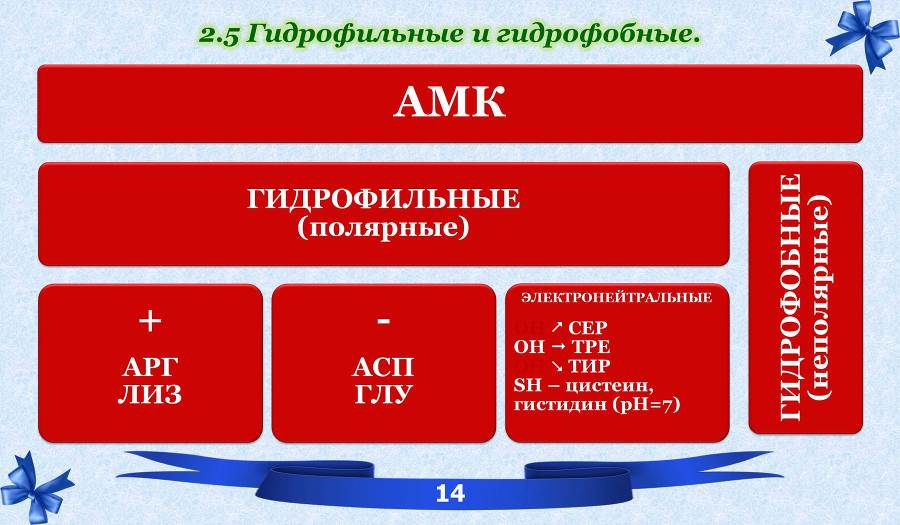 Белки. Часть 1: химия белков - _7.jpg