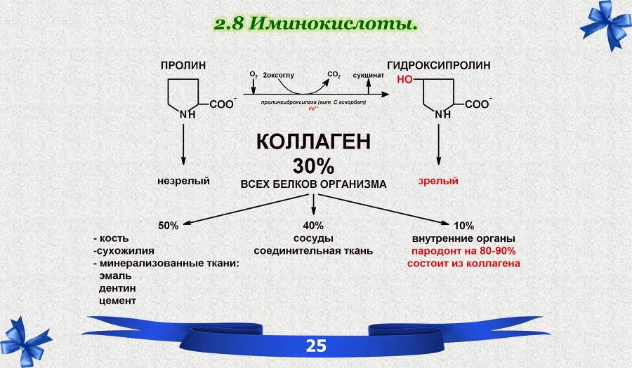 Белки. Часть 1: химия белков - _18.jpg