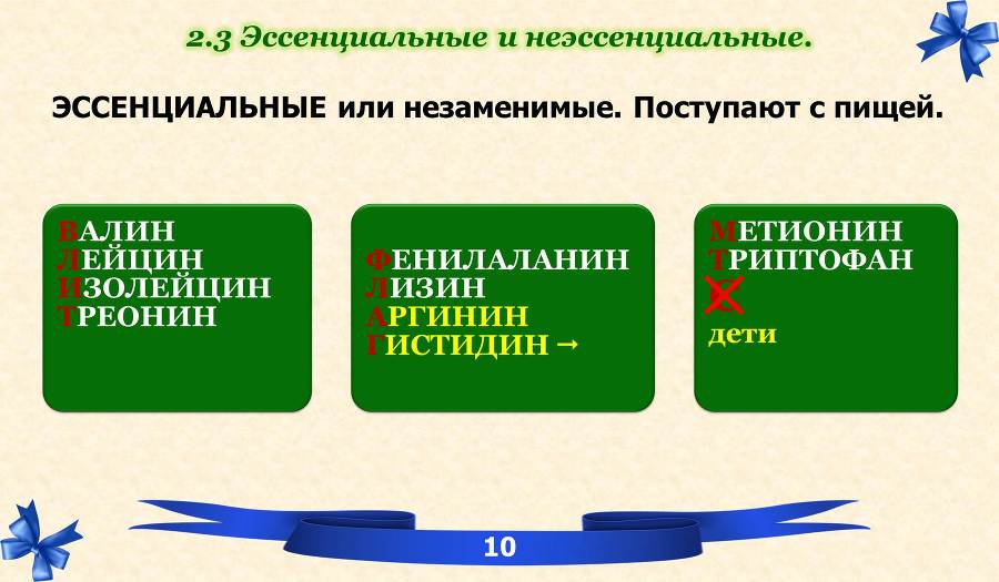 Белки. Часть 1: химия белков - _3.jpg