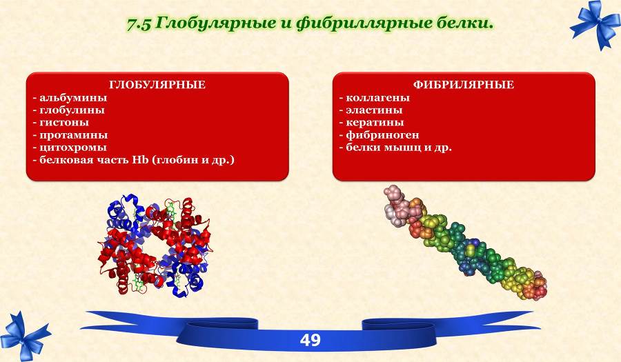 Белки. Часть 1: химия белков - _32.jpg