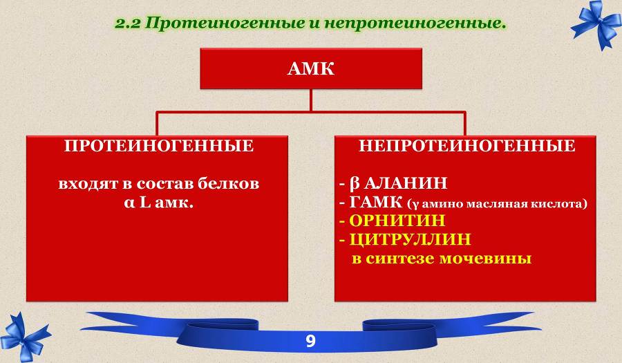 Белки. Часть 1: химия белков - _2.jpg