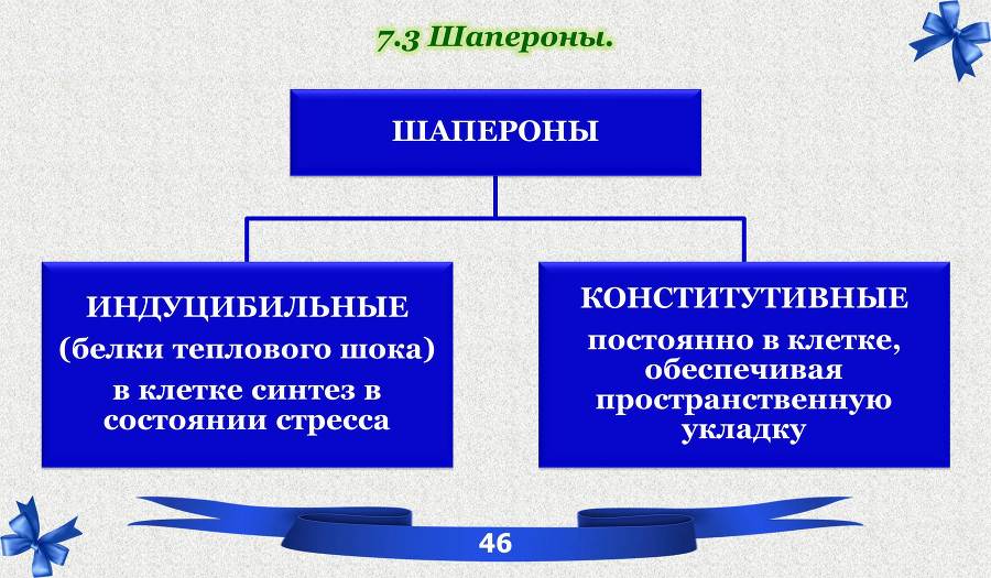 Белки. Часть 1: химия белков - _31.jpg