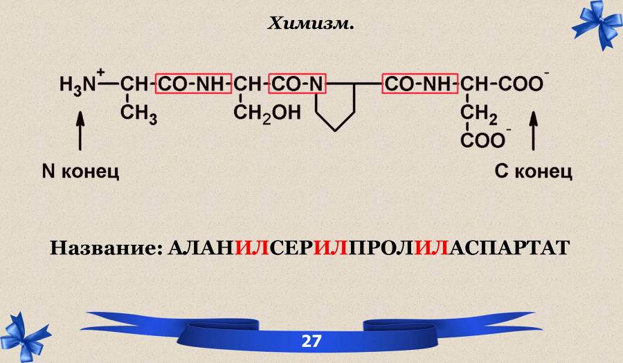 Белки. Часть 1: химия белков - _19.jpg