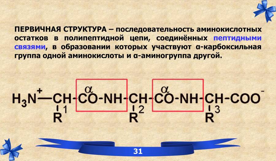 Белки. Часть 1: химия белков - _21.jpg