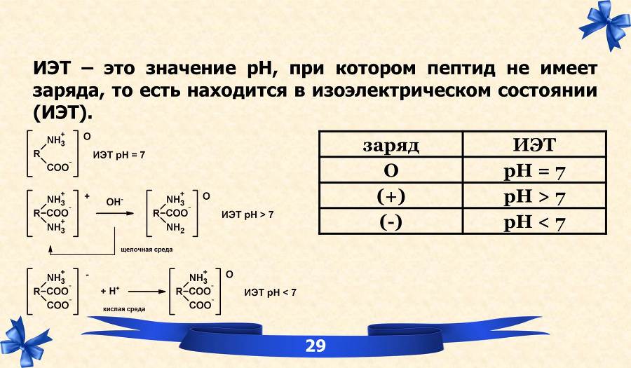 Белки. Часть 1: химия белков - _20.jpg