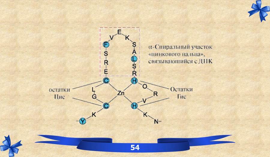 Белки. Часть 1: химия белков - _35.jpg