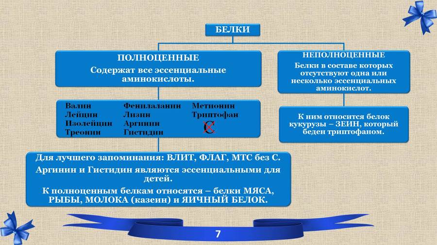 Белки. Часть 2: обмен и синтез - _0.jpg