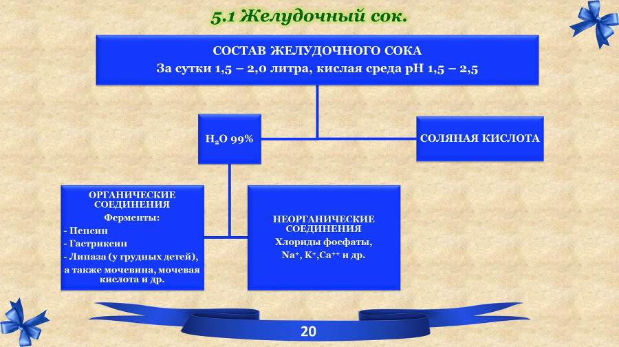 Белки. Часть 2: обмен и синтез - _5.jpg