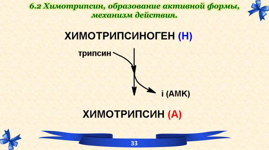 Белки. Часть 2: обмен и синтез - _13.jpg