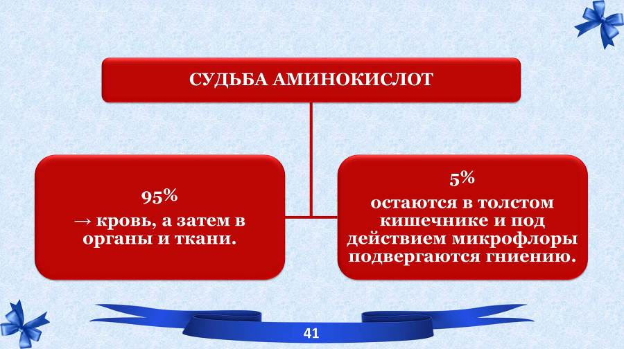 Белки. Часть 2: обмен и синтез - _18.jpg