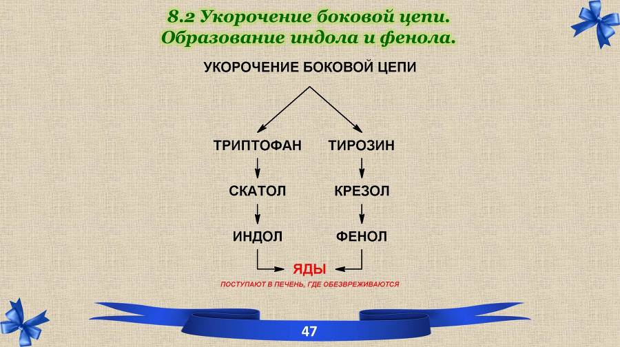 Белки. Часть 2: обмен и синтез - _21.jpg