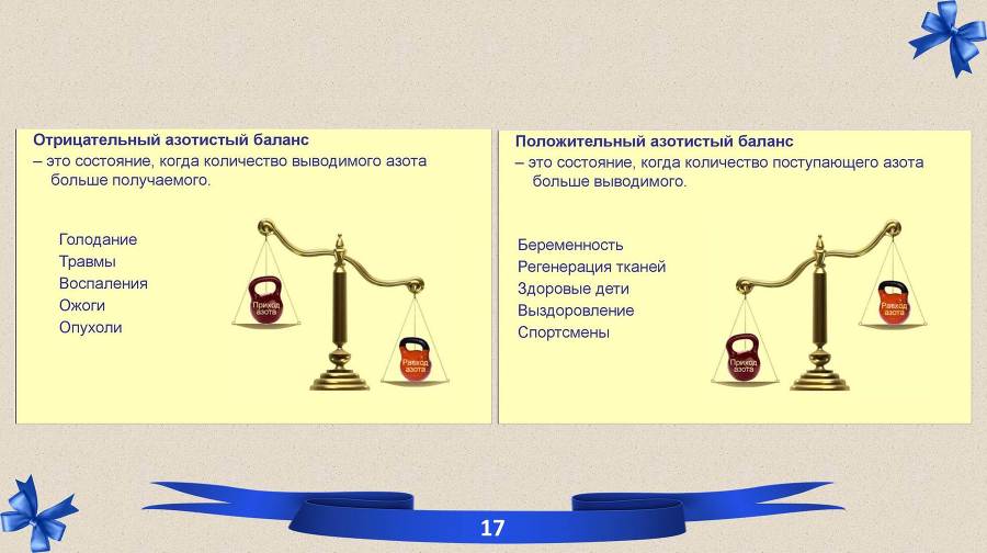 Белки. Часть 2: обмен и синтез - _4.jpg