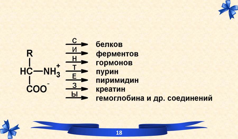 Белки. Часть 2: обмен и синтез - _32.jpg