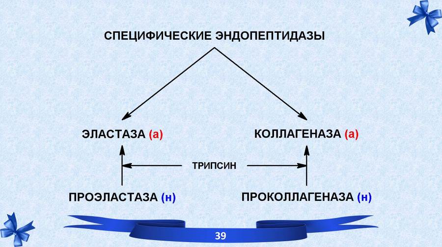 Белки. Часть 2: обмен и синтез - _17.jpg