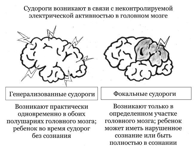 Рота вирусов и батальон бактерий. Книга о детских инфекциях - i_007.jpg