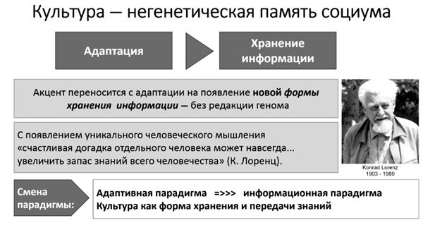 Многообразие типичного. Очерки по культурно-исторической психологии народов - i_001.jpg